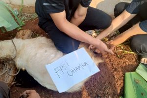 0-0x0-0-0# 0-0x0-0-0#